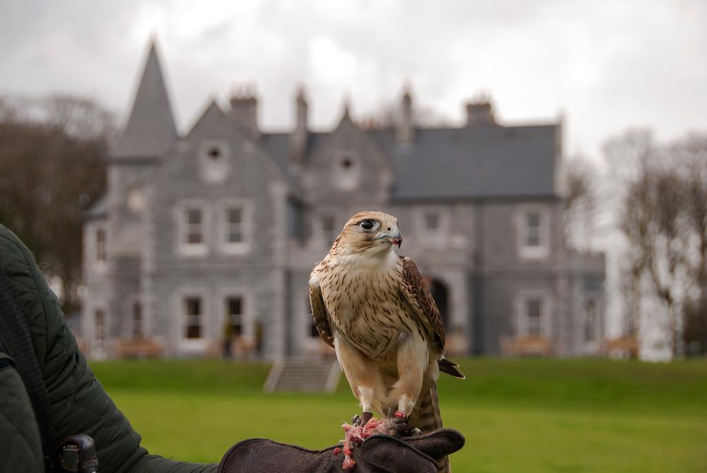 Mount Falcon Estate Ballina  Exterior foto