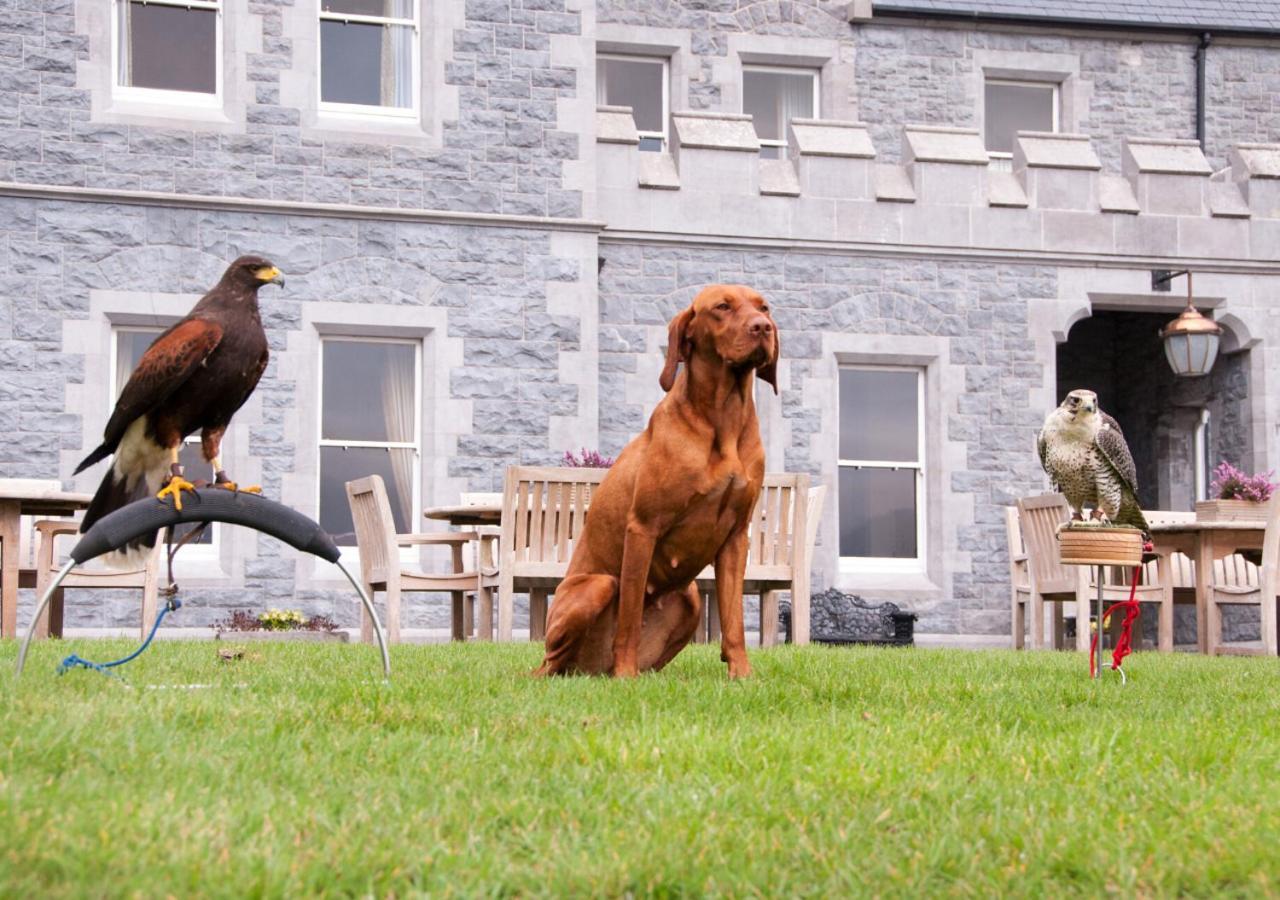 Mount Falcon Estate Ballina  Exterior foto